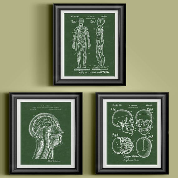 Doctor's Office Wall Art Medical Office Artwork Physician