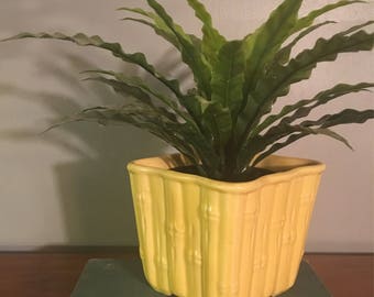Square Yellow Bamboo Planter