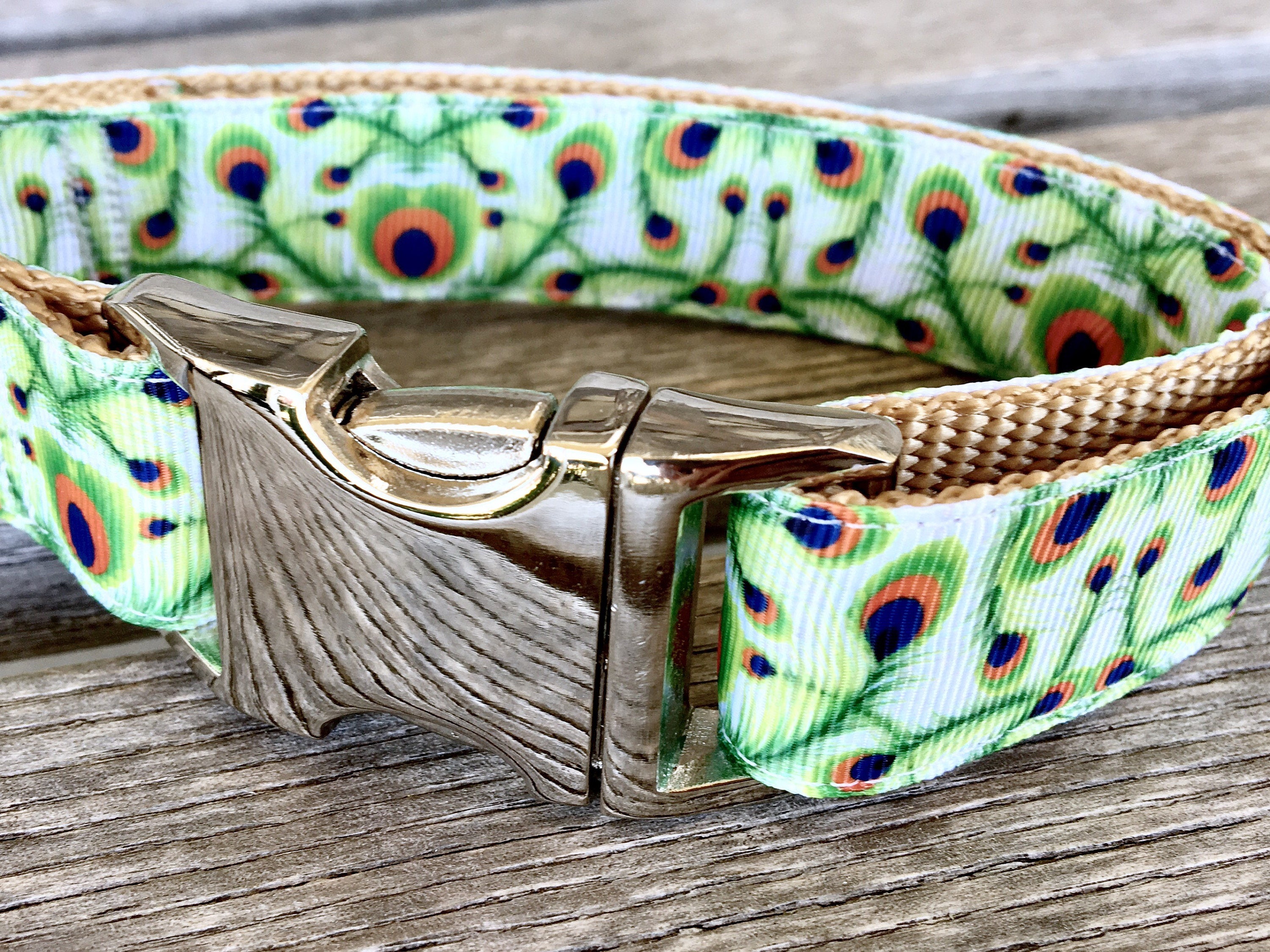 Peacock Feather 1 Dog Collar Bird Feather Dog Collar