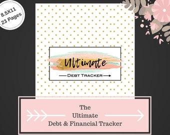 Beautiful Debt Tracker