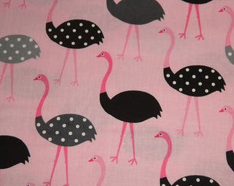 Ostrich in Pink - Urban Zoologie by Ann Kelle