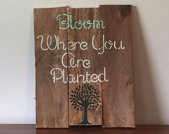 Bloom where you are planted