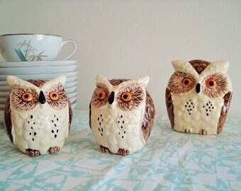 Vintage Enesco Owl Salt and Pepper Shakers and Napkin Holder