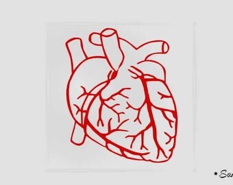 Lub Dub goes the Heart :anatomy poster