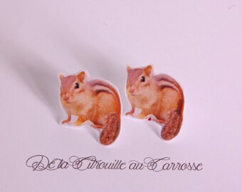 Striped Brown Chipmunk ear studs