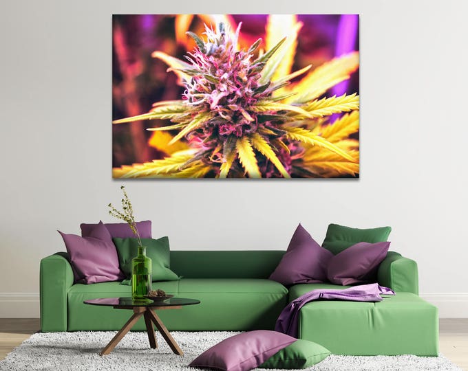 Marijuanas art canvas, Ganja art, flower canvas, Wall Art Canvas Print, Interior decor, room decor, print poster, art picture, gift