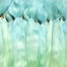 Combed Suri Alpaca Doll Hair 1 ounce 7-9 inches long