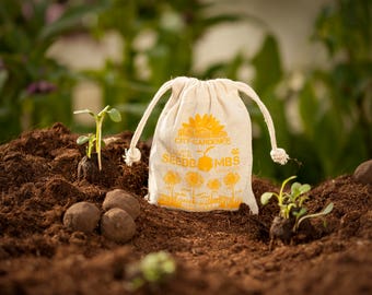 Seed Bombs "Sunflowers", 10 walnut sized & handmade seed balls
