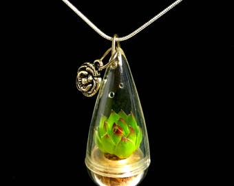 SALE Succulent Necklace / Mini Lotus Succulent Terrarium Necklace / Miniature Terrarium / Tiny Wearable Terrarium Accessories