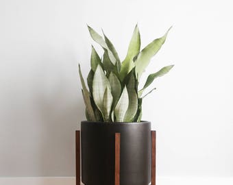 Large - Mid-century Modern Ceramic Planter with Walnut or Oak Wood Planter Stand - 12" Cylinder Pot