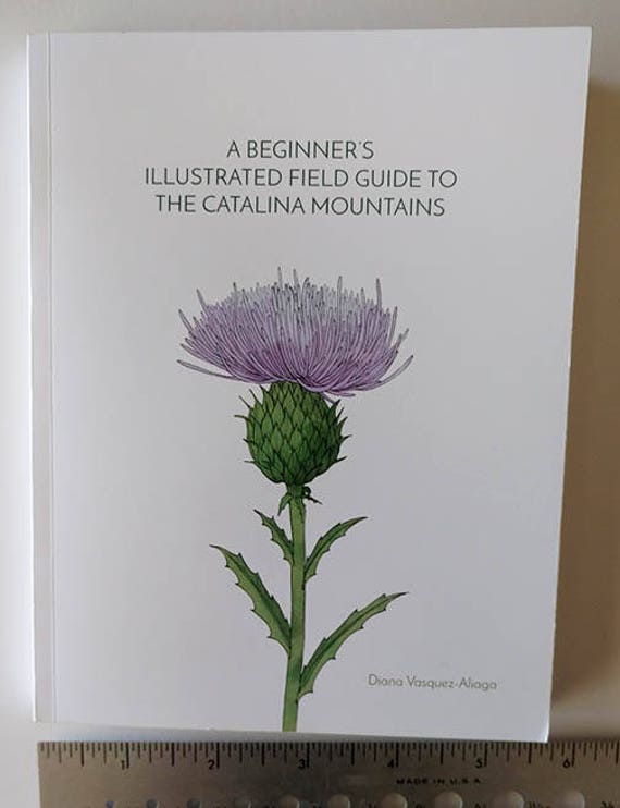 A Beginner's Illustrated Field Guide to the Catalina