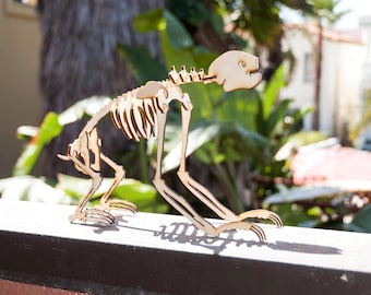 Three-Toed Sloth Skeleton Model / Puzzle - Laser-Cut Baltic Birch