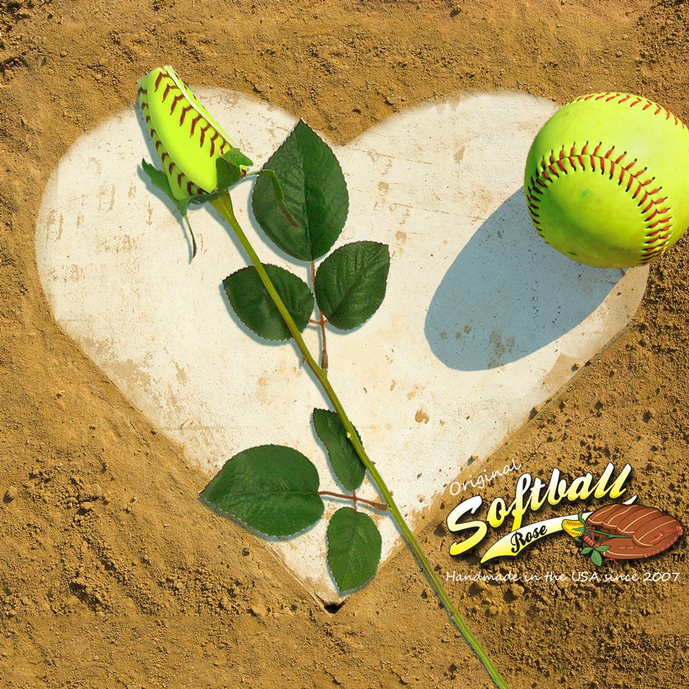 Original Softball Rose