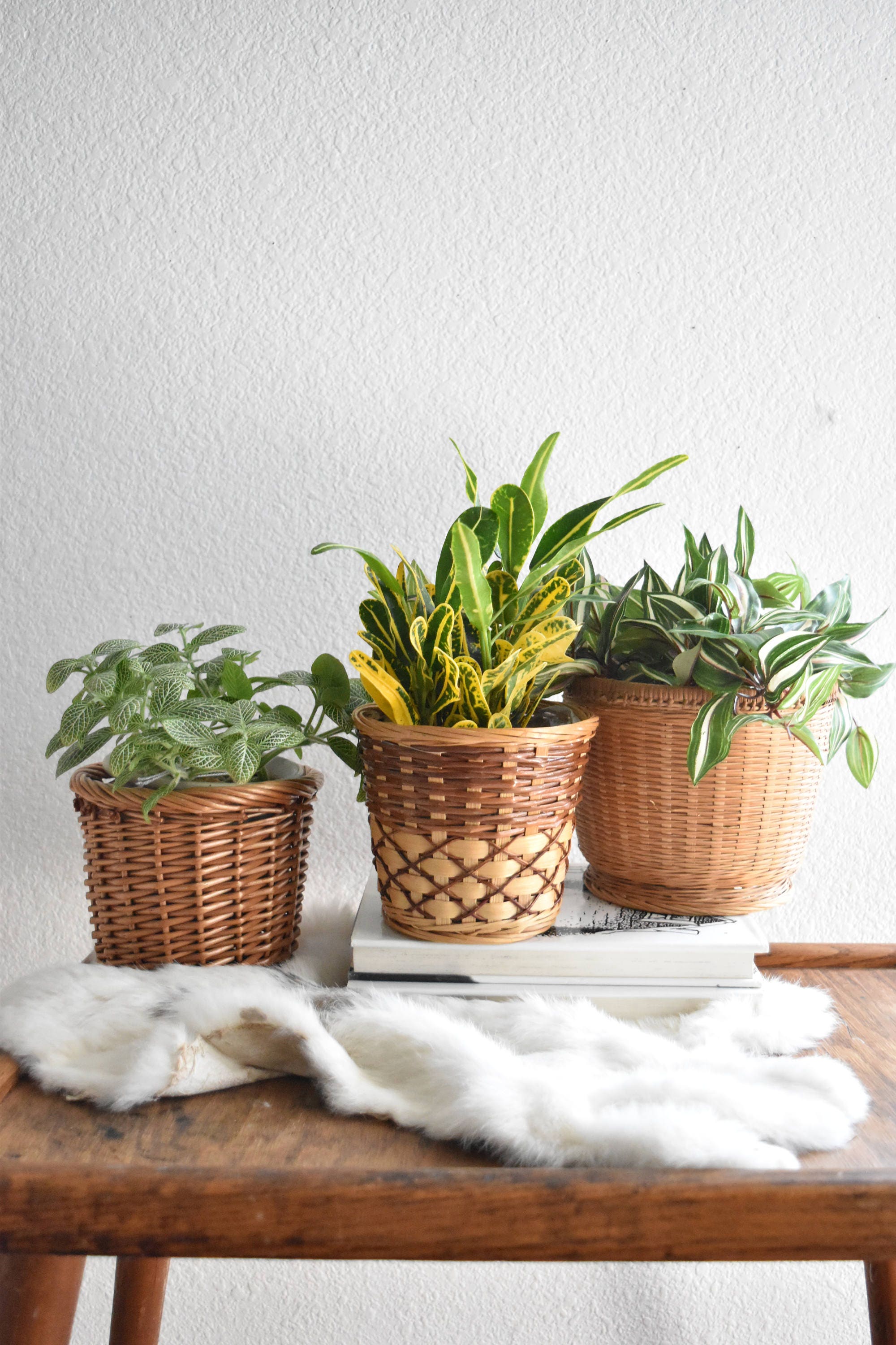 set of 3 small woven wicker basket planters