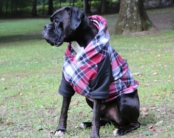 Turquoise Boy Dog Sweater DK825