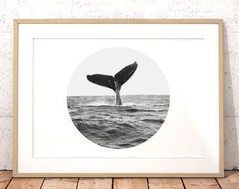 Ocean animal art | Etsy