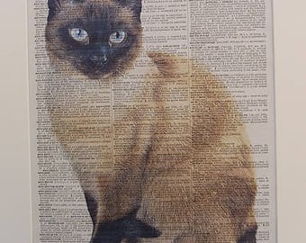 Siamese Cat Print No.510, siamese cat prints, siamese cat posters, siamese cat gifts, cat poster, cat wall decor, dictionary print,