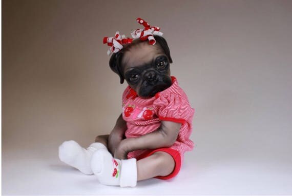 pug reborn