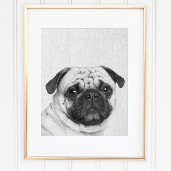 Pug Print Pug Art Black And White Dog Minimalist Wall Art