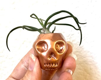 Handmade skull planter, air plant holder, planter, rose gold skull, rose gold, sugar skull, skull planter, housewarming, dorm, room