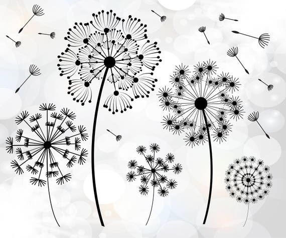 Download Dandelion SVG files Floral svg files for critut Dandelion