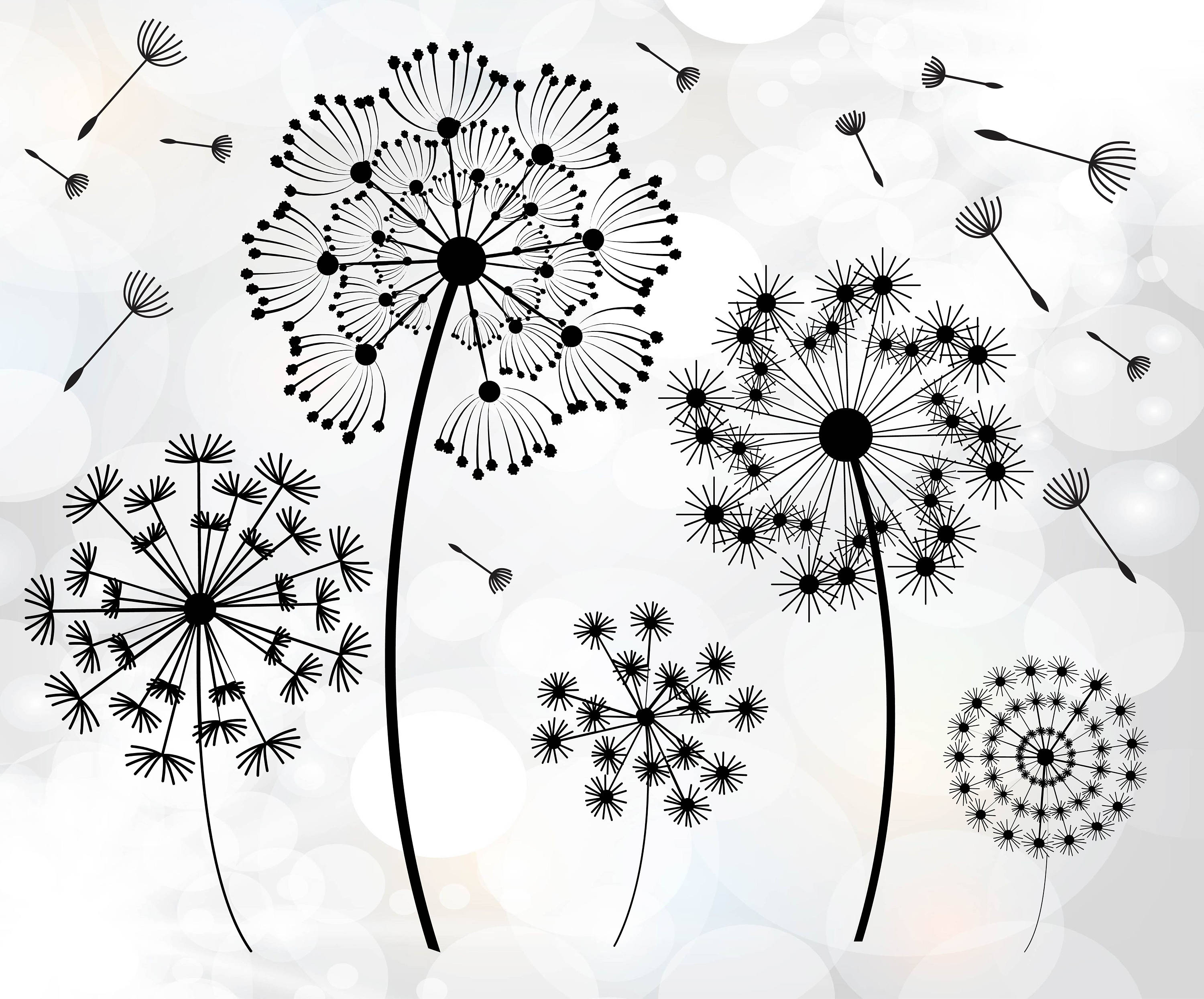 Free Free Heart Dandelion Svg 447 SVG PNG EPS DXF File