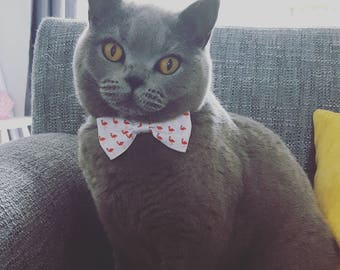 Hot Flamingo Cat Collar with Bow