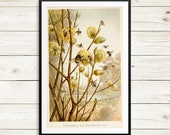 Vintage bee prints, honey bee postcard, bumblebee art prints, honey bees poster, vintage botanical art, garden decor, save the bees print