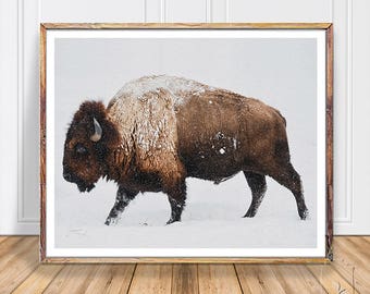 Buffalo Print, Bison Print, Large Wall Art Print, Animal Prints, Animal Poster Art, Living Room Art, Boys Bedroom Decor, Farmhouse Decor,PDF