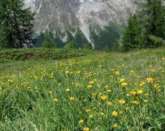 Tour of Mont Blanc - Italian Alps - 2017
