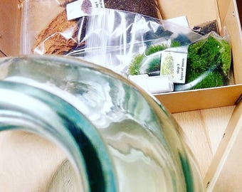 DIY Terrarium Kit ( Basic )