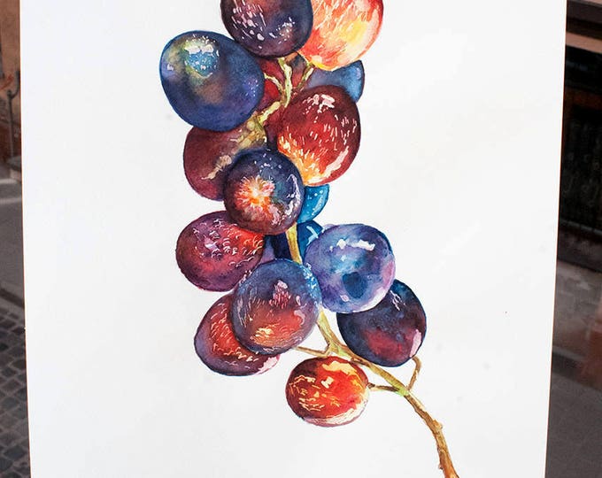 Bunch of Grapes ORIGINAL Watercolor Painting, Grapevine Fruit Artwork