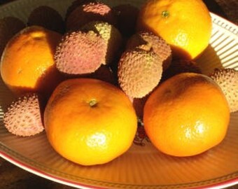 Parfums d’huile de parfum de litchi - huile de parfum de savon - sucrés pour le savon - savonnerie savon fournitures - plusieurs tailles disponibles