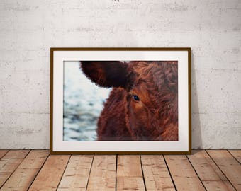 Cow Wall Art cow wall art | etsy Cow Wall Art cow wall art | etsy