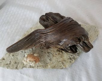 Organic Driftwood Art