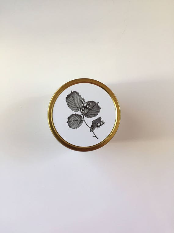 Apothecary Candle Co.