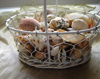 Chicken wire basket of shells decorator basket wire and wicker beach decor bath decor