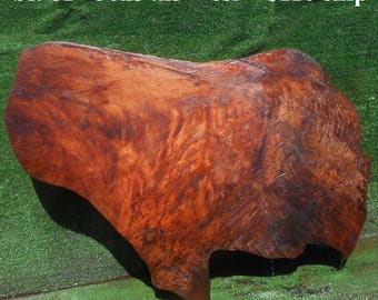 BS981 Redwood burl slab