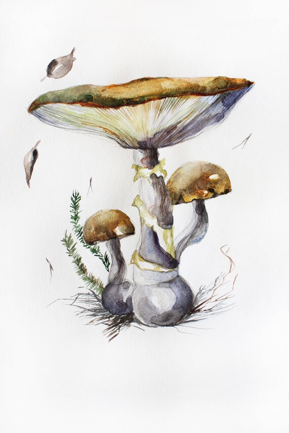 Mushrooms watercolor original Mushrooms art botanical art