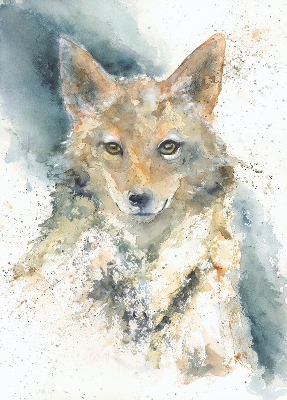 Coyote Art/ Coyote Print/ Coyote watercolor/ Coyote painting/