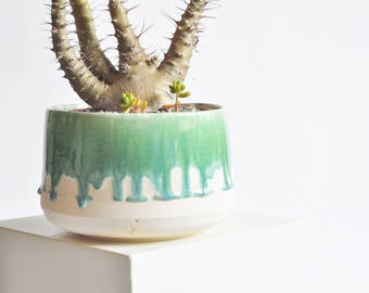 7 Inch Planter - Green Drip - Made to Order