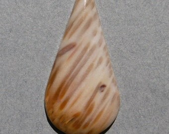Petrified Palm Wood Cabochon (43X21)