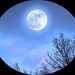 Winter Moon