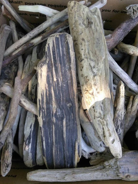 Bulk Driftwood Lot of SMALL MEDIUM LARGE Pieces of Driftwood Pieces For