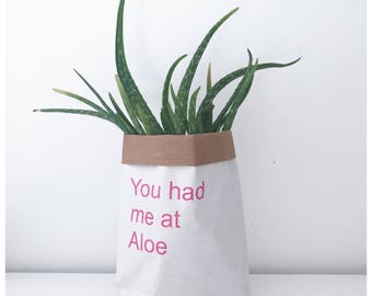 You had me at aloe, plant pot cover, paper bag.