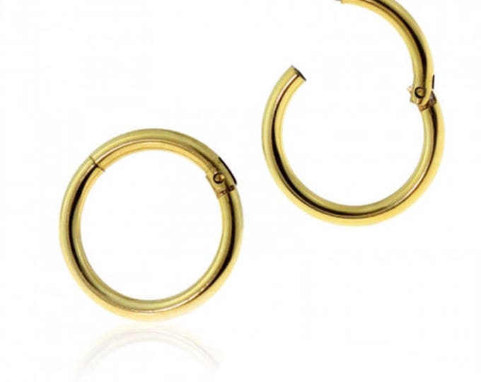 Gold Plated over 316L Surgical Steel Hinged Segment Ring
