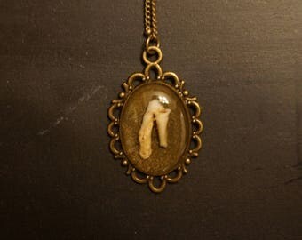 Real raccoon tooth in resin pendant necklace