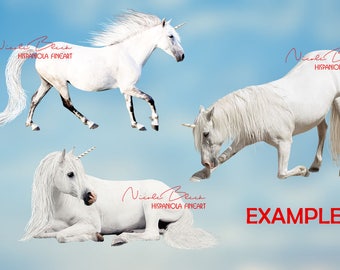 Unicorn, Overlay, digital Png, white, Art, Fantasy, Photoshop, Photo, laying gallop bowing Horse, cut out, real, Fairy, download, Photoshop