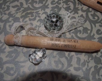Twelve "message" wooden clothespins
