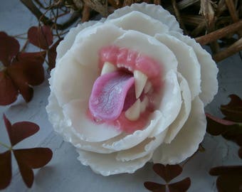 White peony Predatory flower